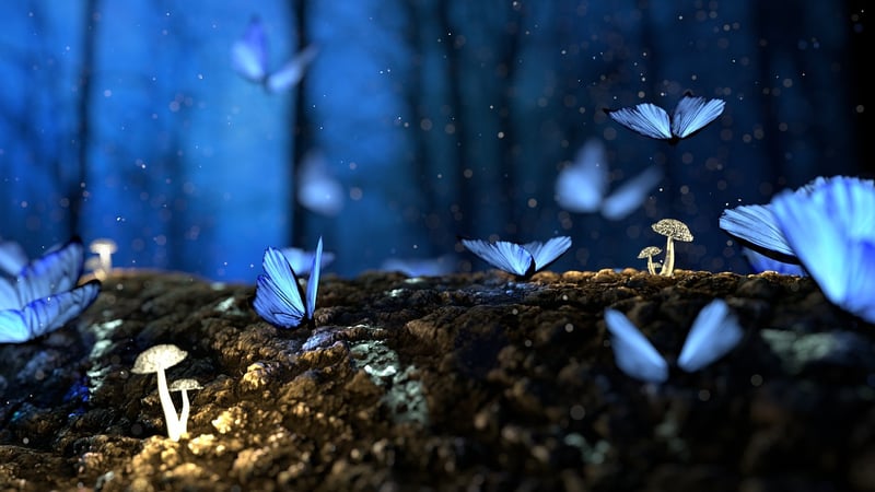 Enchanted Scrolls